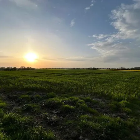 4 Person In Ferienhaus